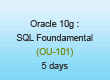 Oracle 10 SQL Fundamental 1 Training